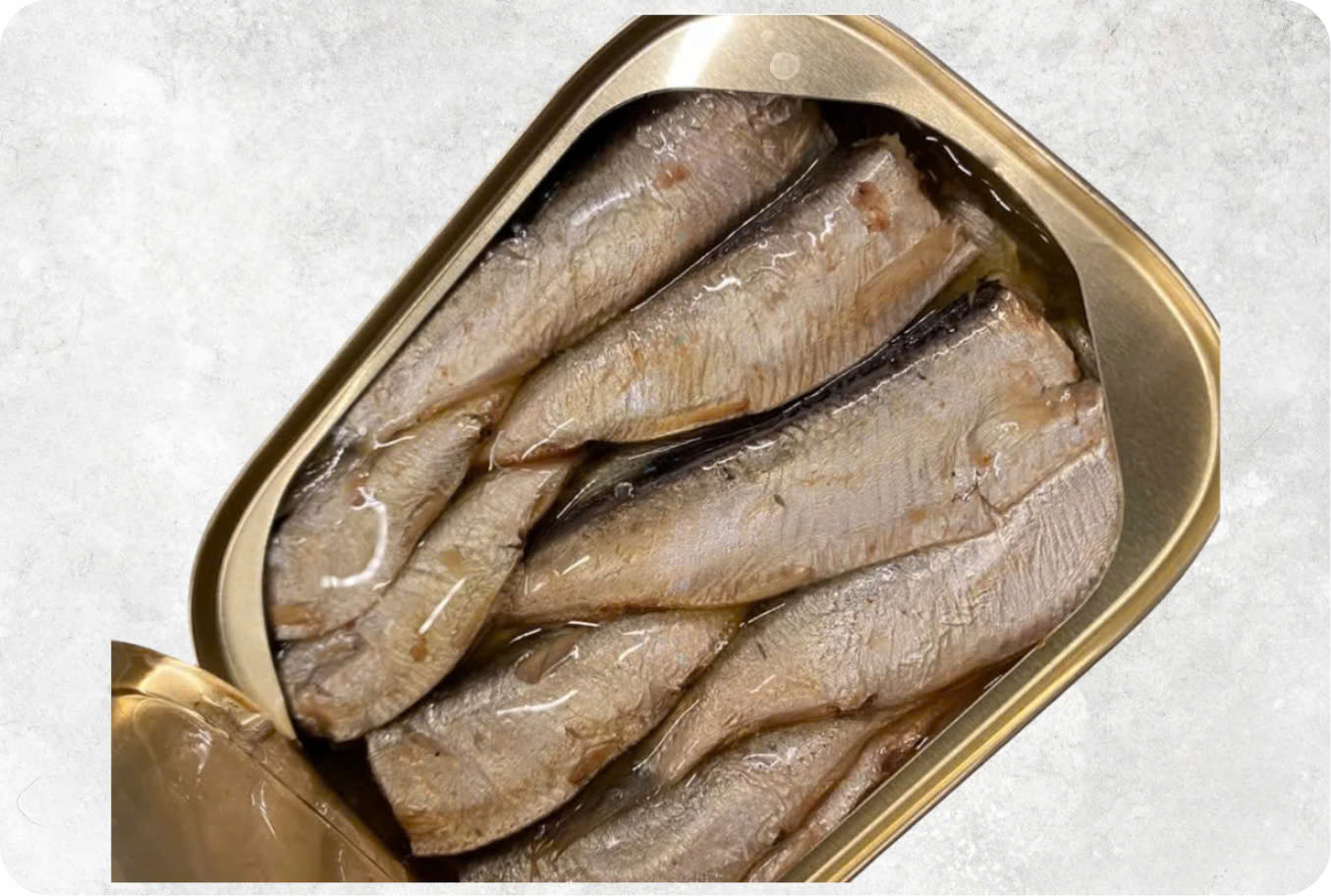Canned Sardine And Canned Mackerel With Tomato Sauce