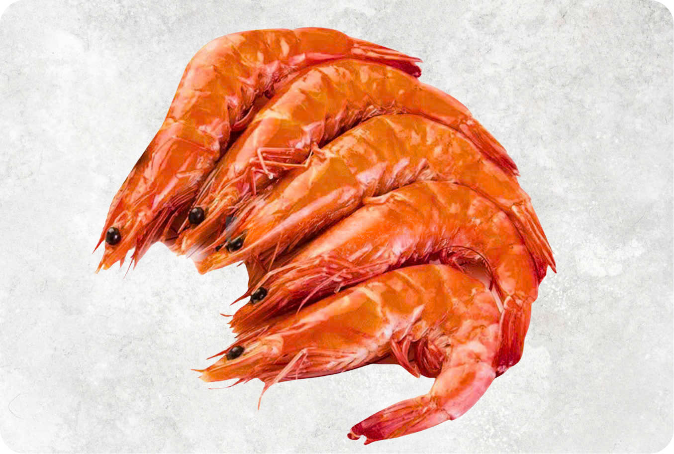 Frozen Cooked HOSO Vannamei Shrimp