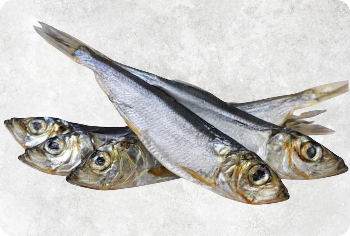 Dried Boiled Herring Sardine