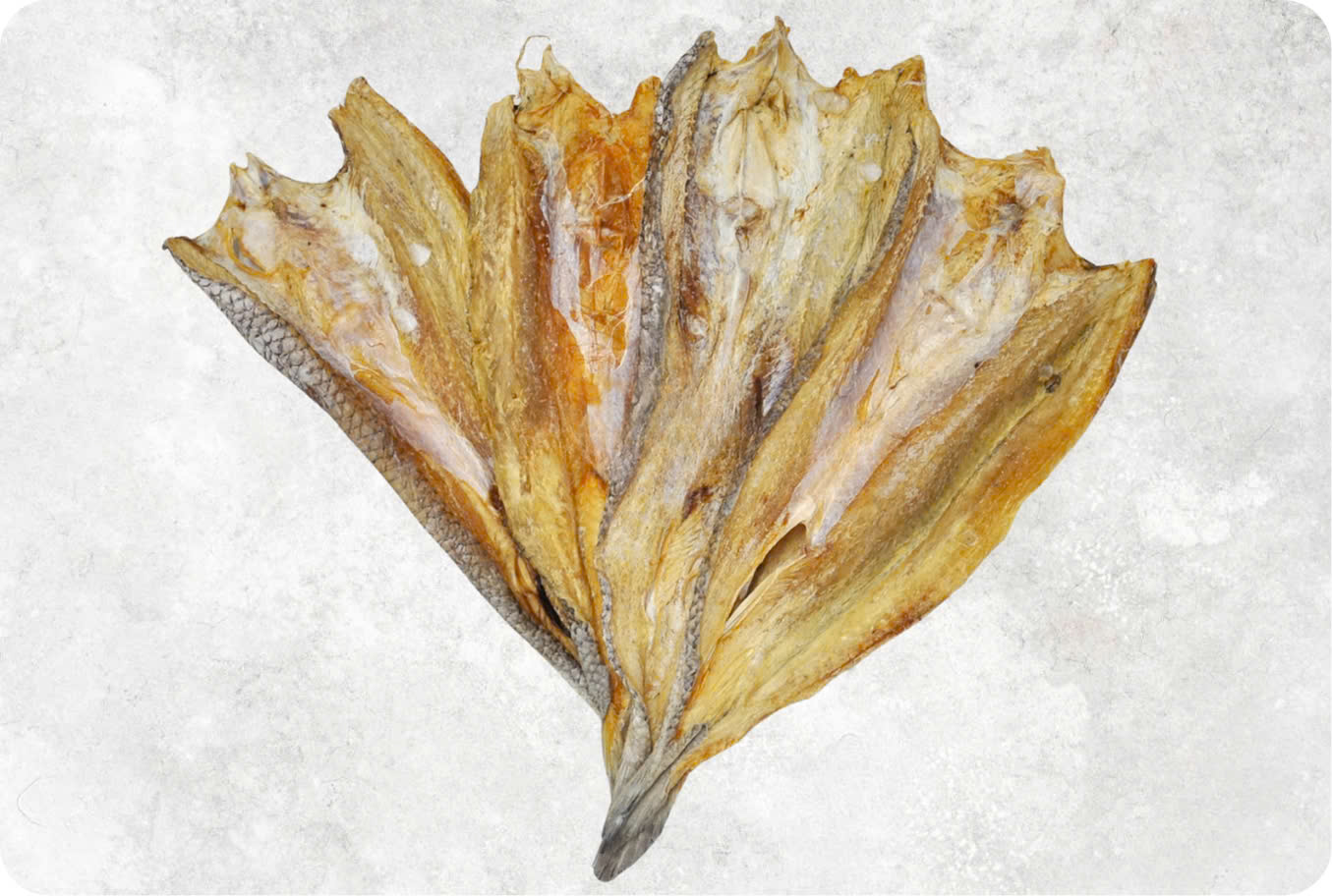 Dried Lizard fish