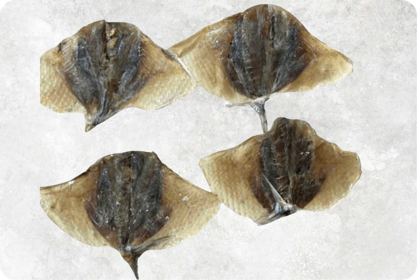 Dried Moon Fish