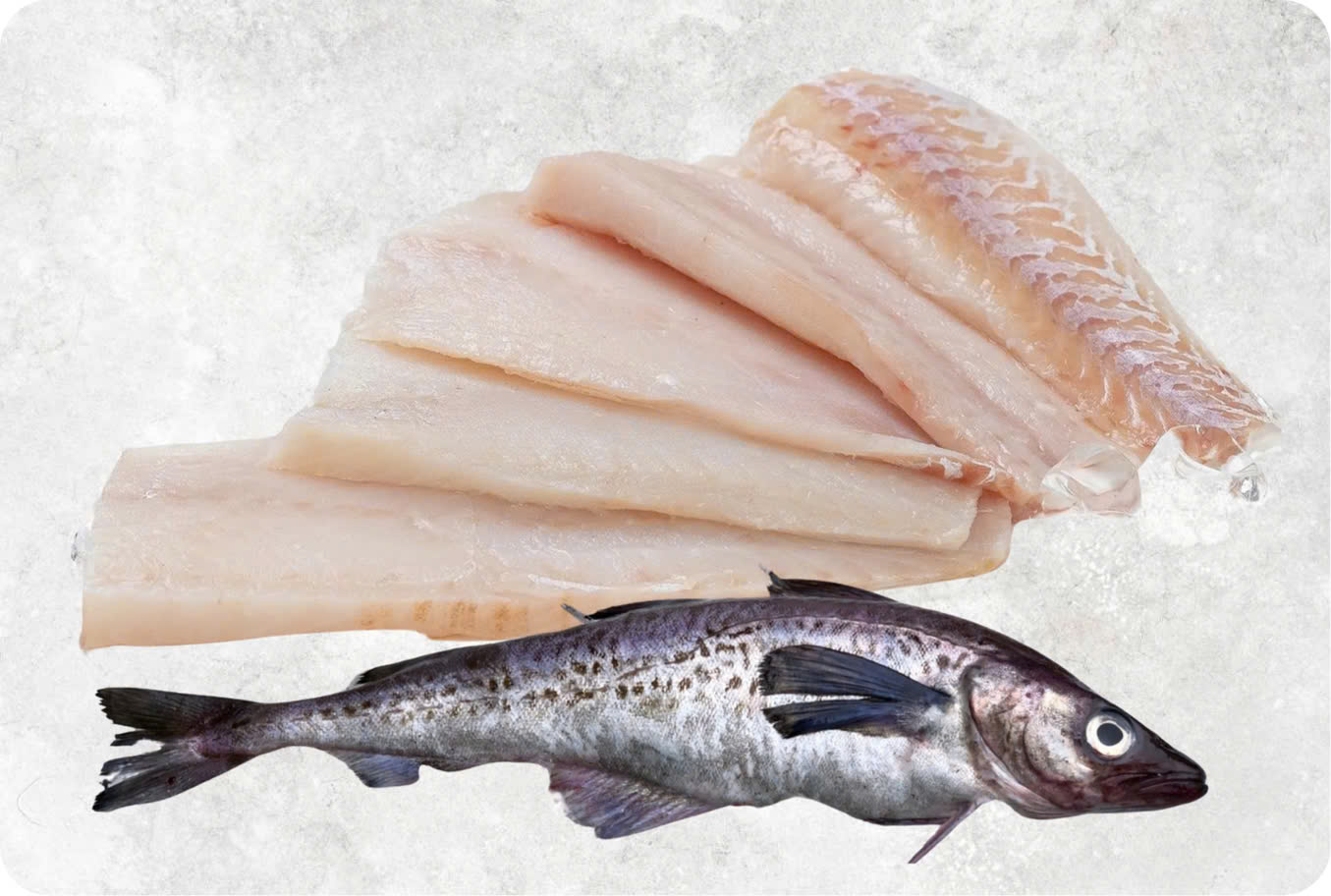 Frozen Alaska Pollock