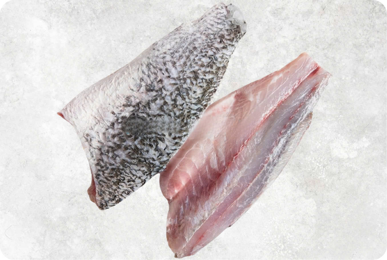 Frozen Barramundi Fillet (Sea Bass)