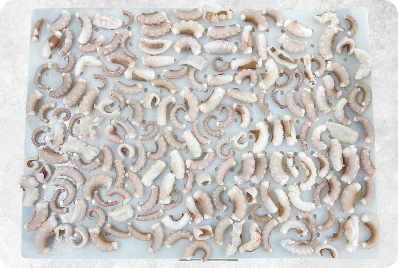 Frozen Blanched And Boiled Poulp Squid Dice Cut (Frozen Boiled Mada Cut)