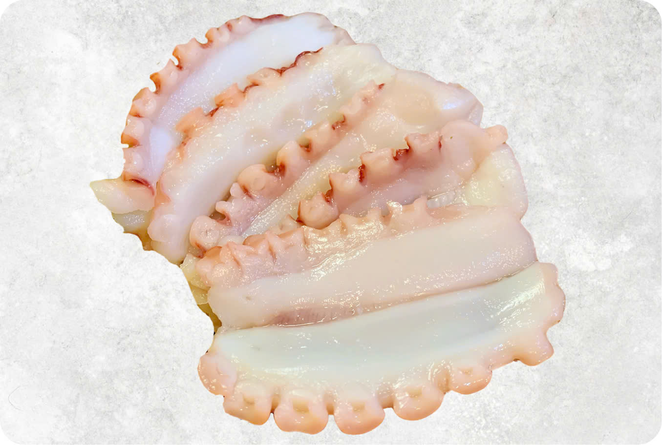 Frozen Boiled Octopus Tentacles Open Cut Sushi