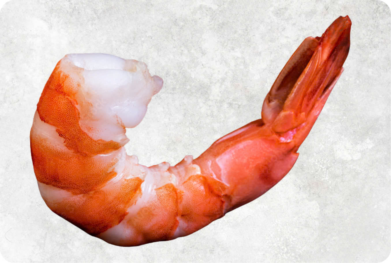 Frozen Cooked Pdto Black Tiger Shrimp