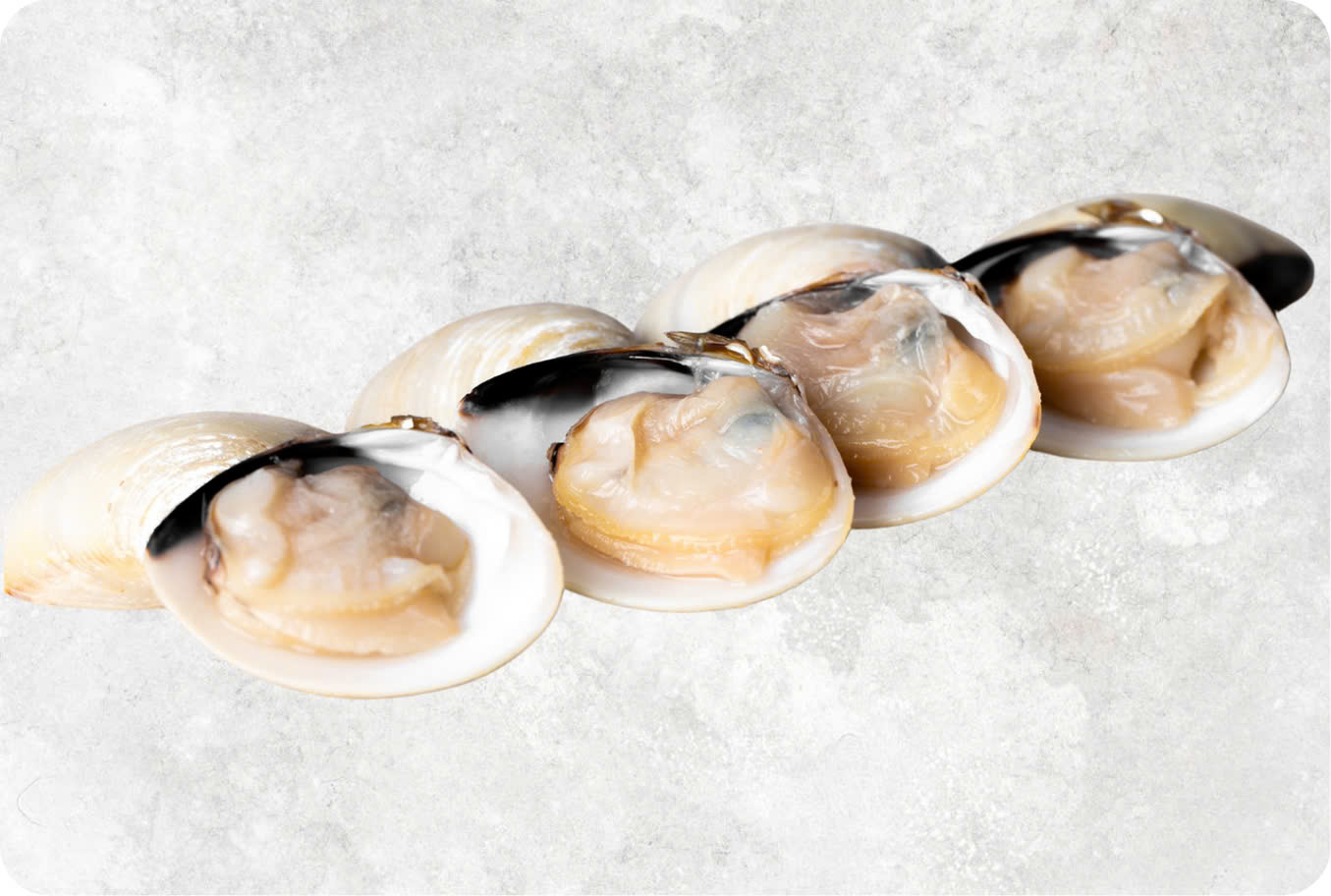 Frozen Cooked Half Shell White Clam