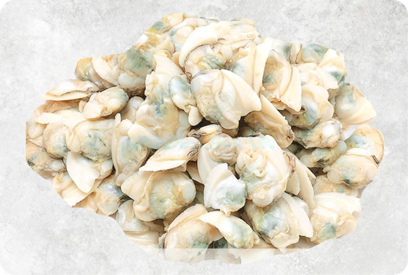 Frozen Cooked White Clam Meat