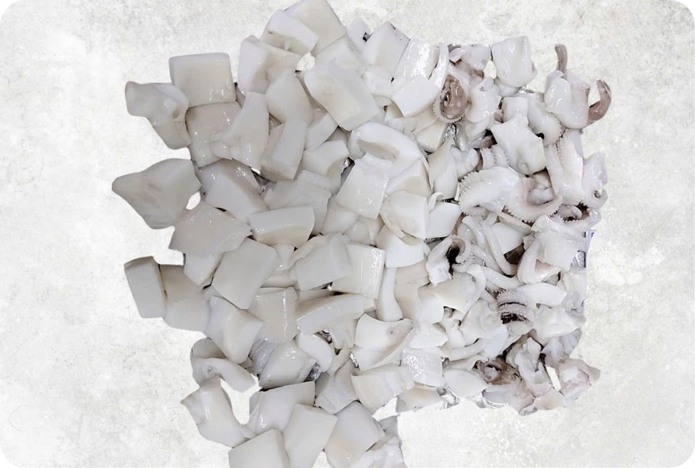 Frozen Cuttlefish Dice Cut
