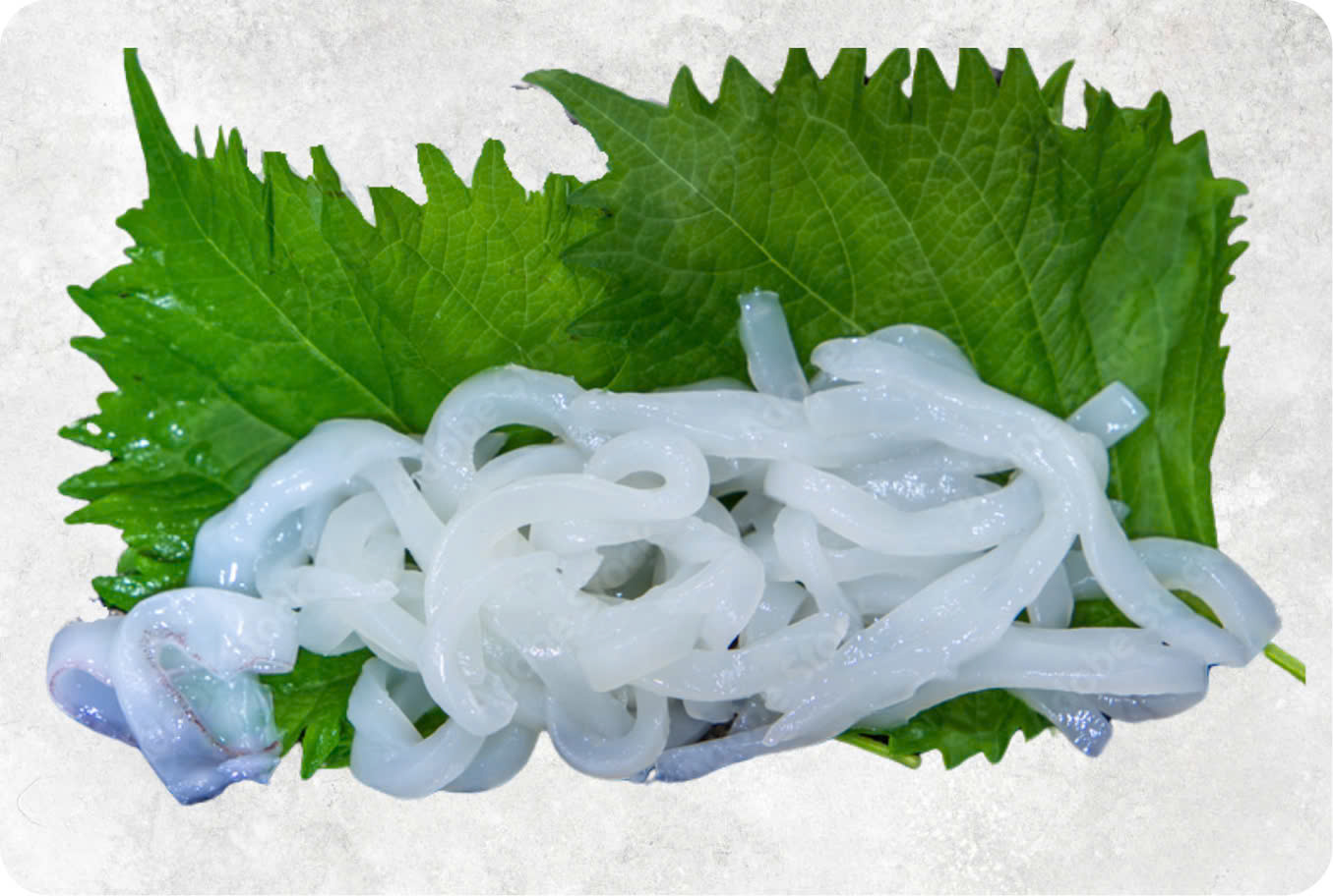Frozen Cuttlefish Somen