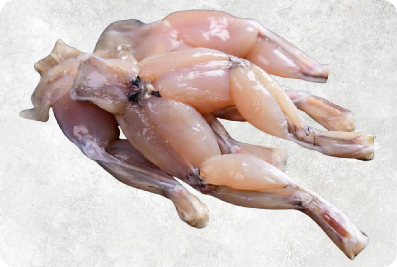 Frozen Frog Legs Classic Style