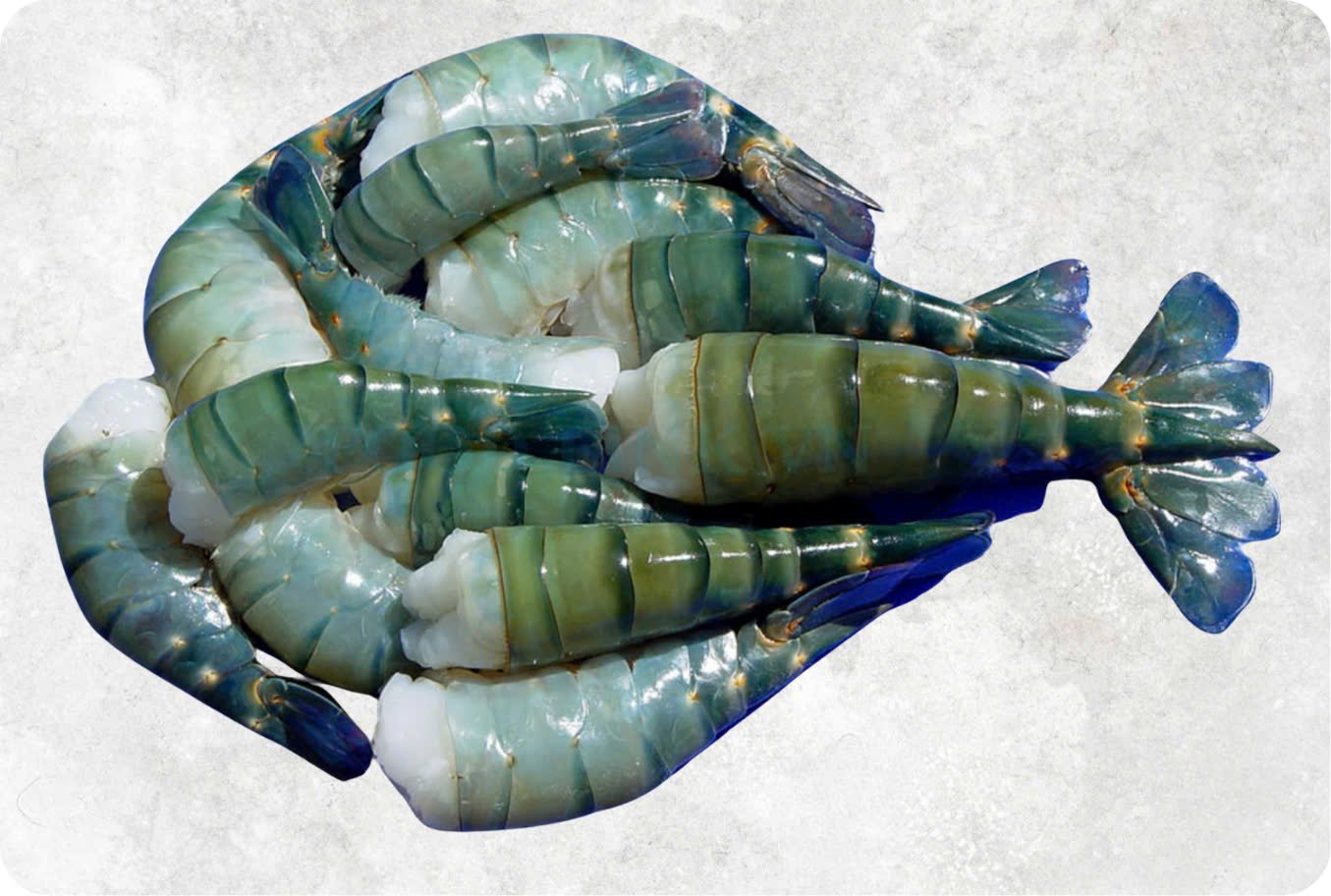 Frozen Raw Hlso, Hlso Ezp And Butterfly Scampi Shrimp
