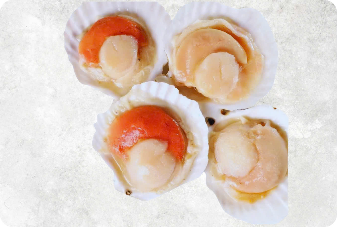 Frozen Hokkaido Scallop Half Shell, Roe On And Roe Off