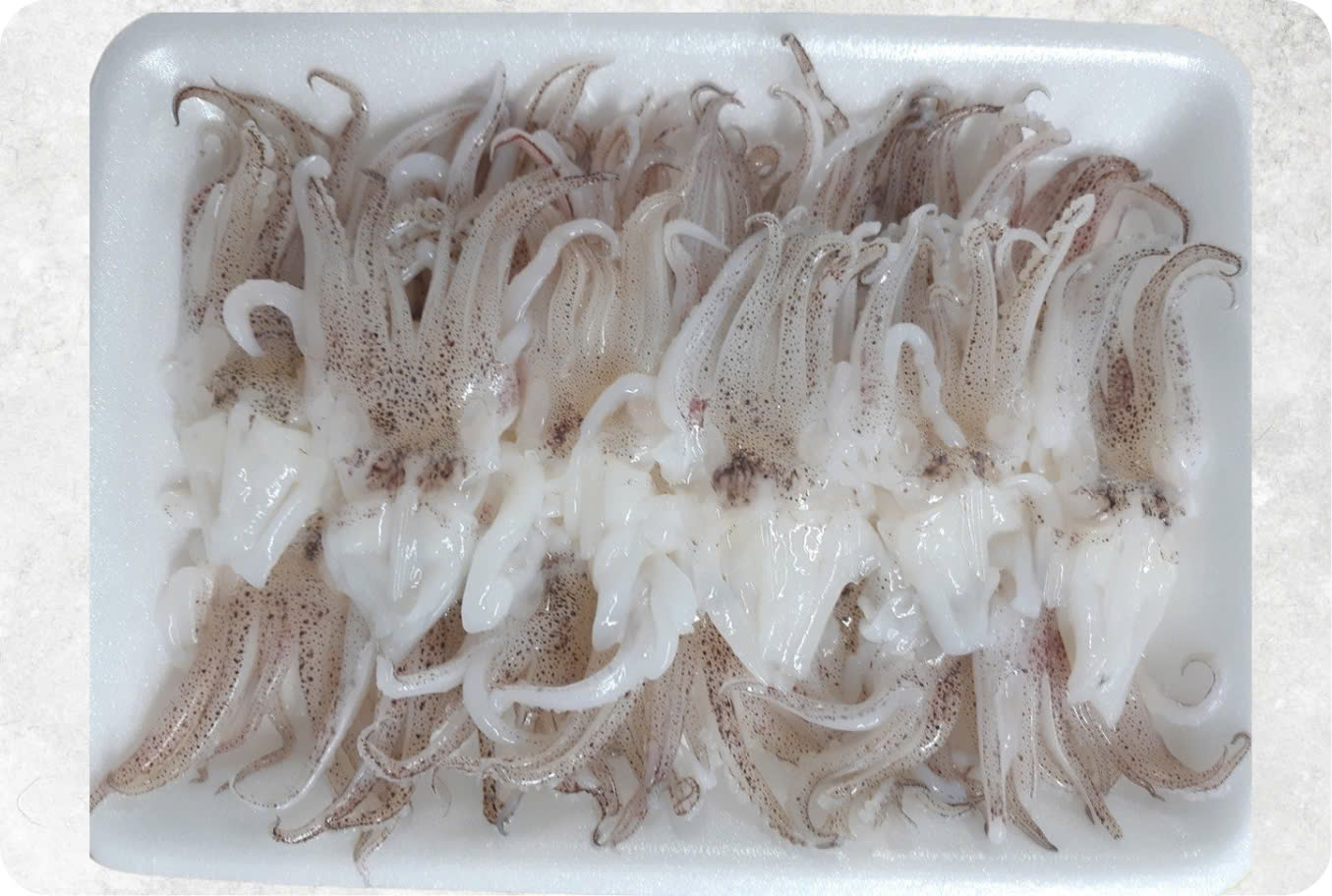 Frozen Loligo Squid Tentacles Sushi