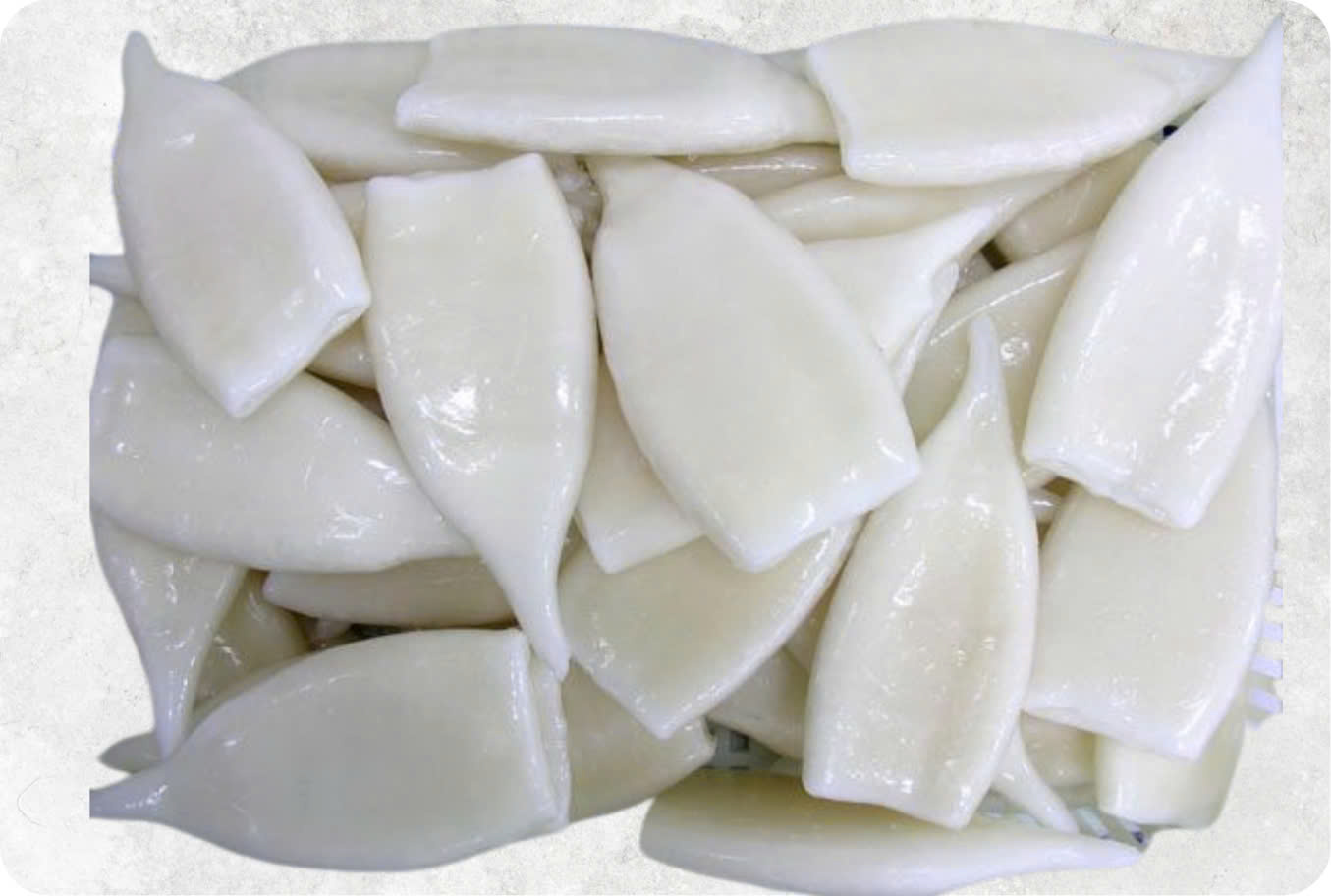 Frozen Whole Clean Loligo Squid Tube