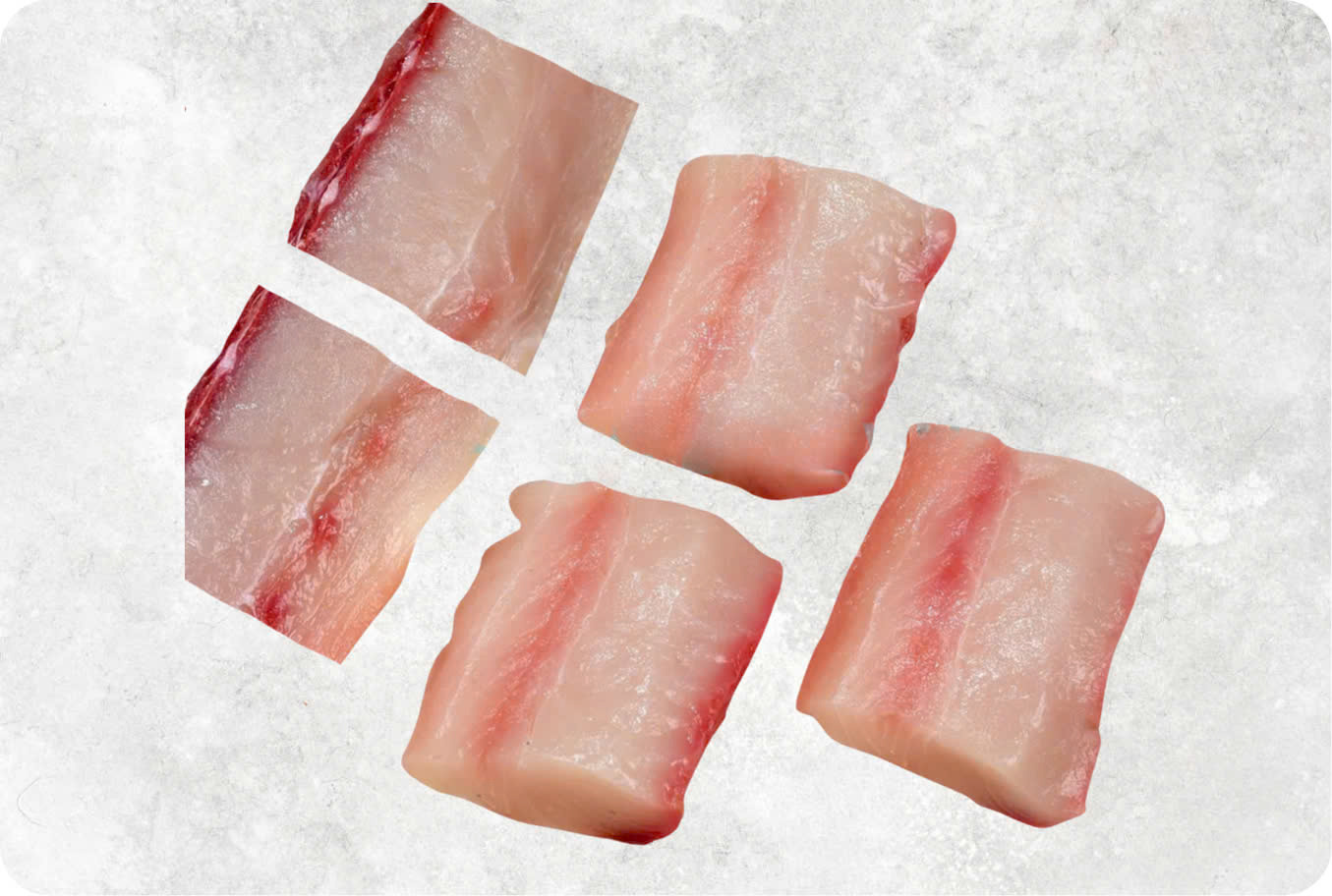 Frozen Mahi Mahi Cube