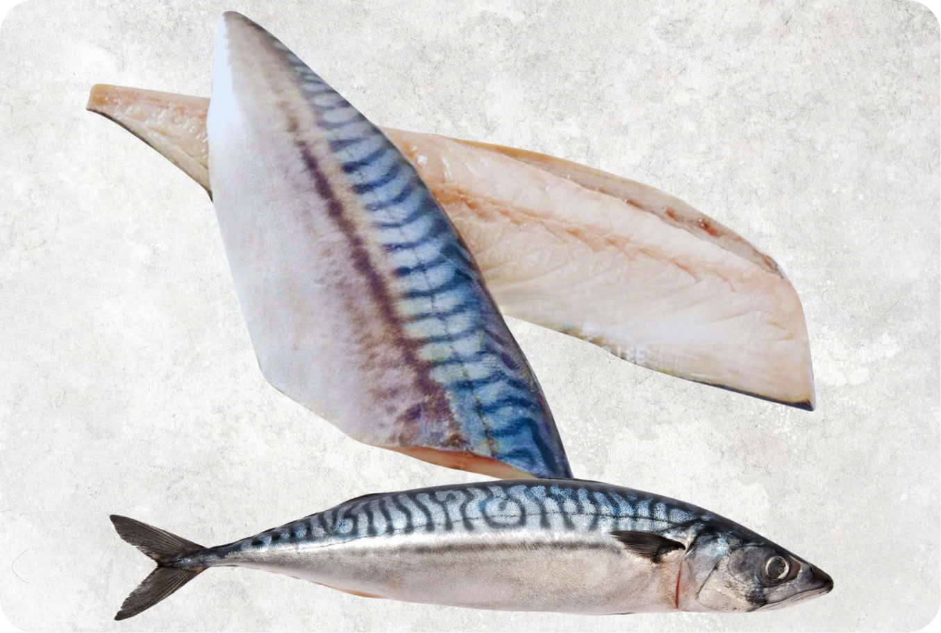 Frozen Norway And Japanese Mackerel