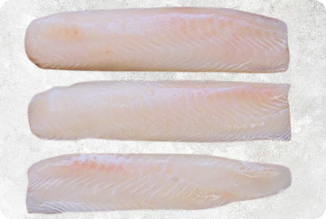 Frozen Pangasius Loin (Swai Fish)