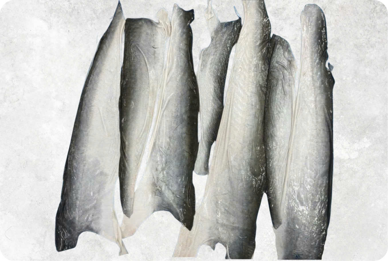 Frozen Pangasius Skin (Swai Fish)