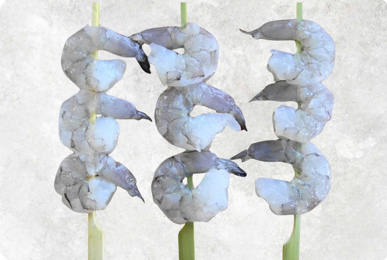 Frozen Raw PD And PDTO Skewer Vannamei Shrimp