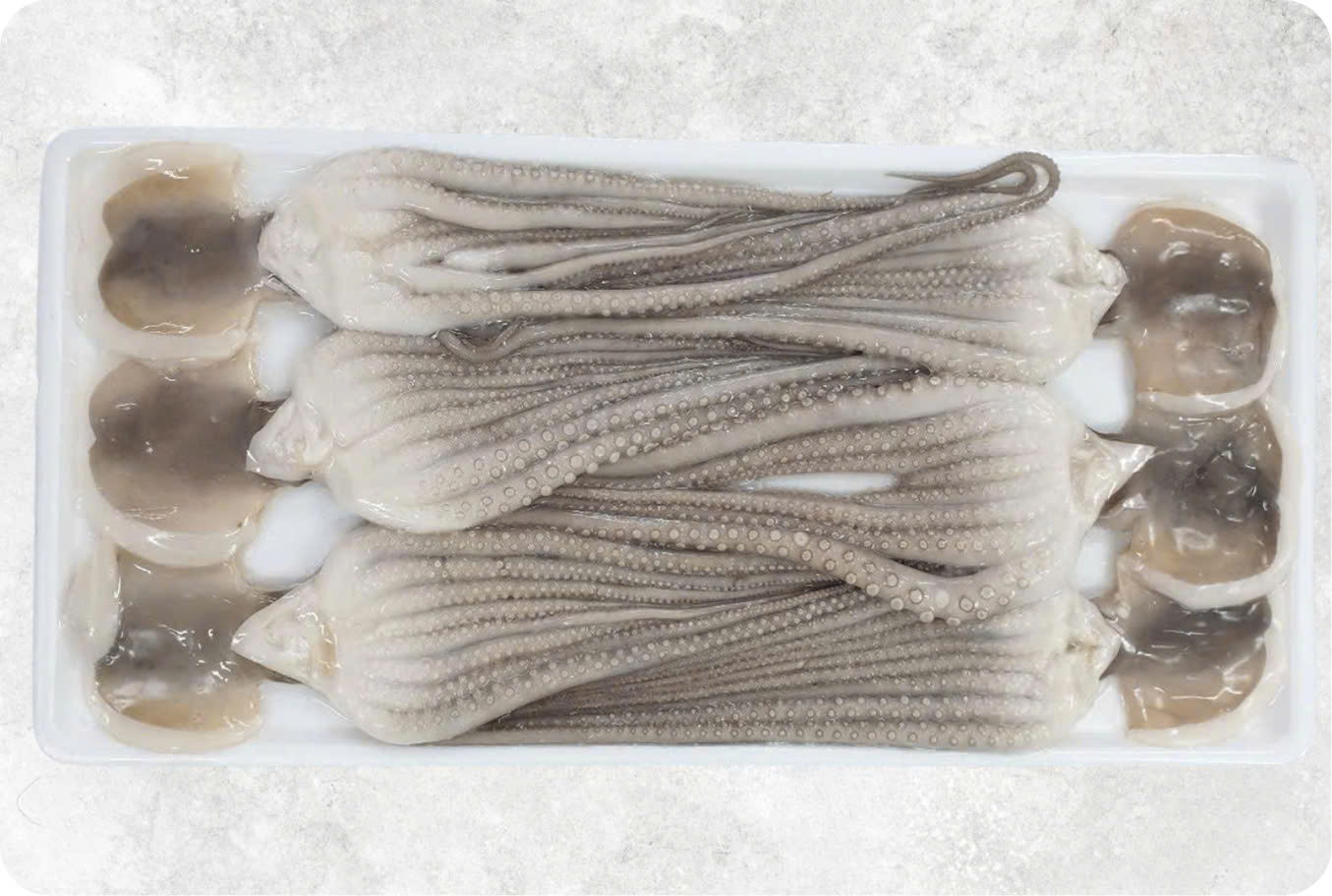 Frozen Whole Clean Poulp Squid Long Leg (Frozen Whole Clean Mada Long Leg) | High-Quality Products