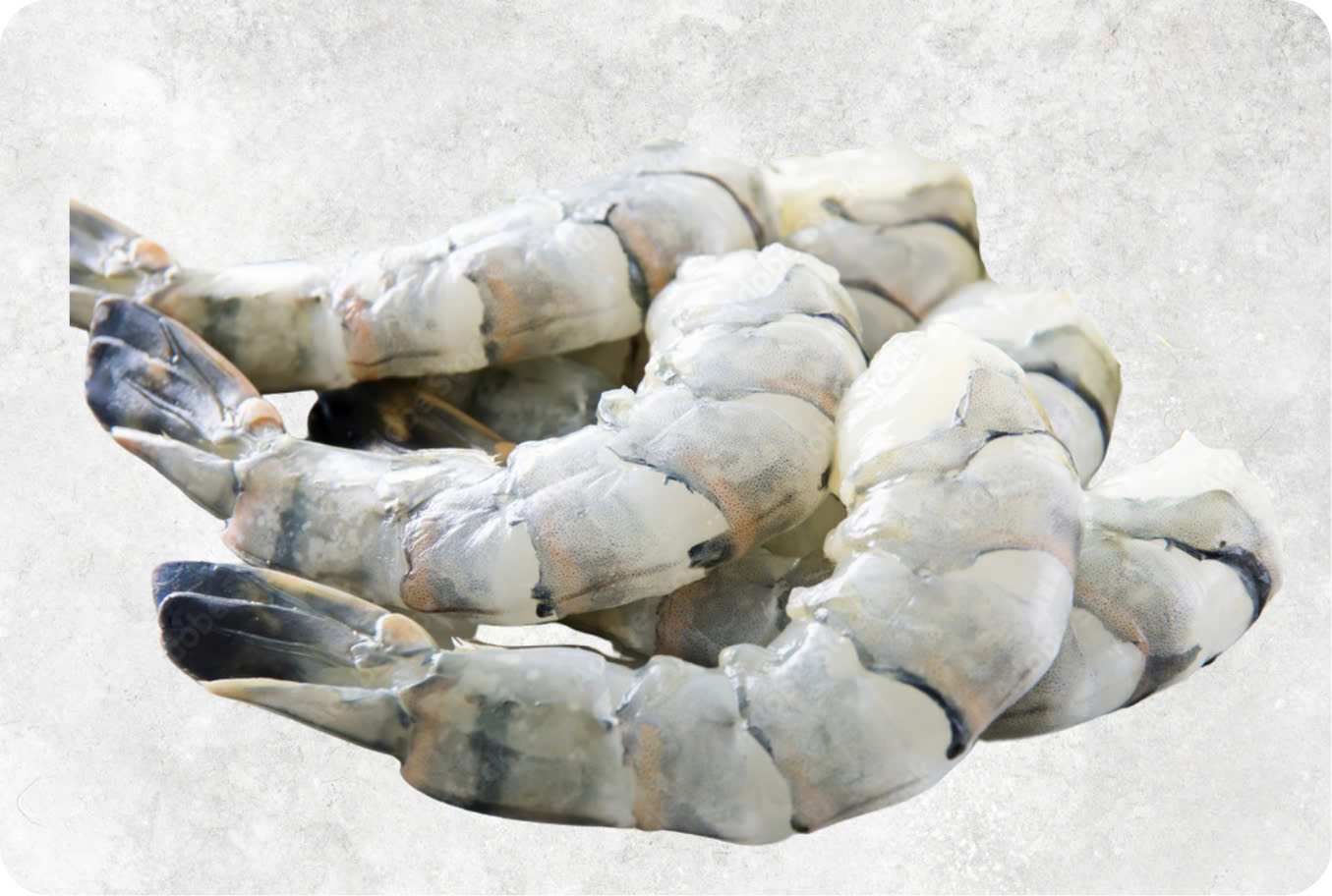 Frozen Raw Pdto Black Tiger Shrimp