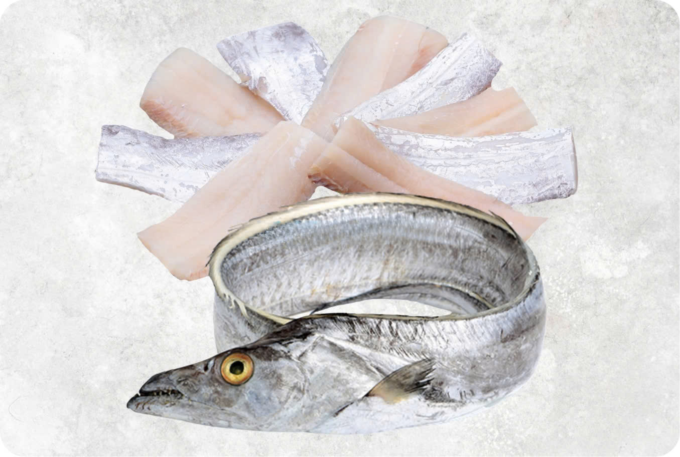 Frozen Ribbon Fish Fillet