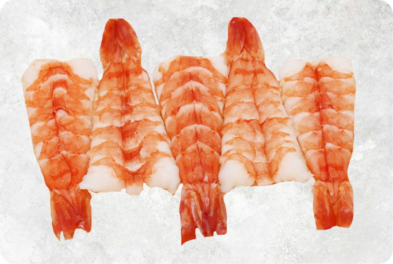 Frozen Sushi Ebi Black Tiger Shrimp