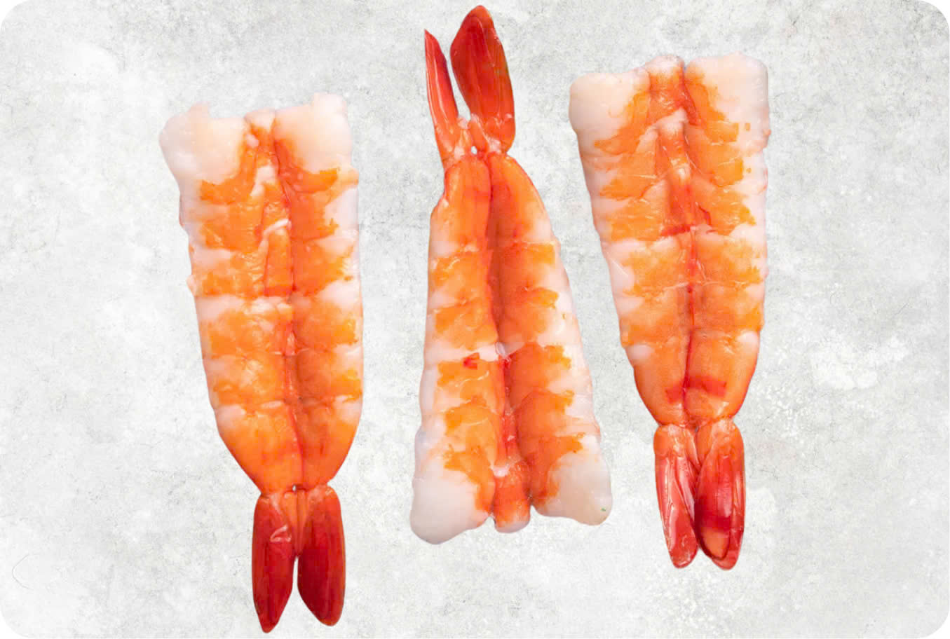 Frozen Sushi Ebi Vannamei Shrimp