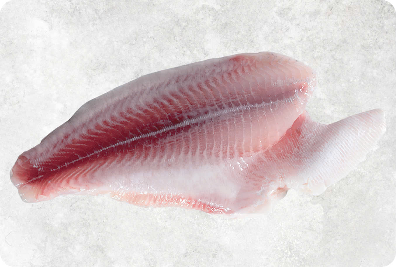 Frozen Pangasius Fillet Un Trimmed (Swai Fish)
