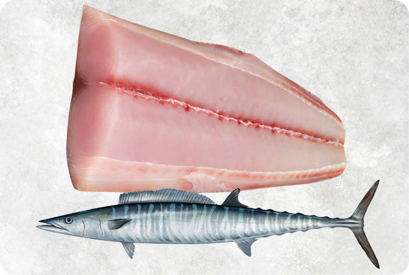 Frozen Wahoo Fillet (Skin On)