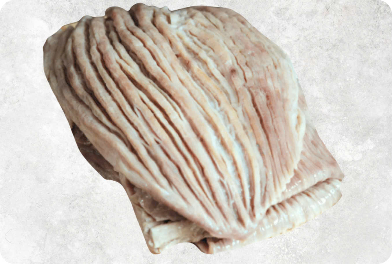 Frozen Yellowfin Tuna Stomach