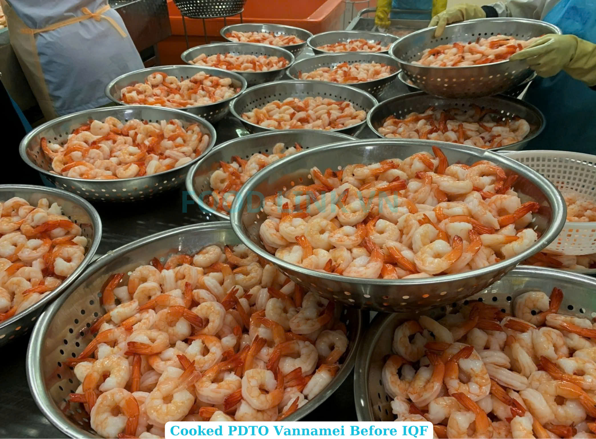 Frozen Cooked PDTO Vannamei Shrimp
