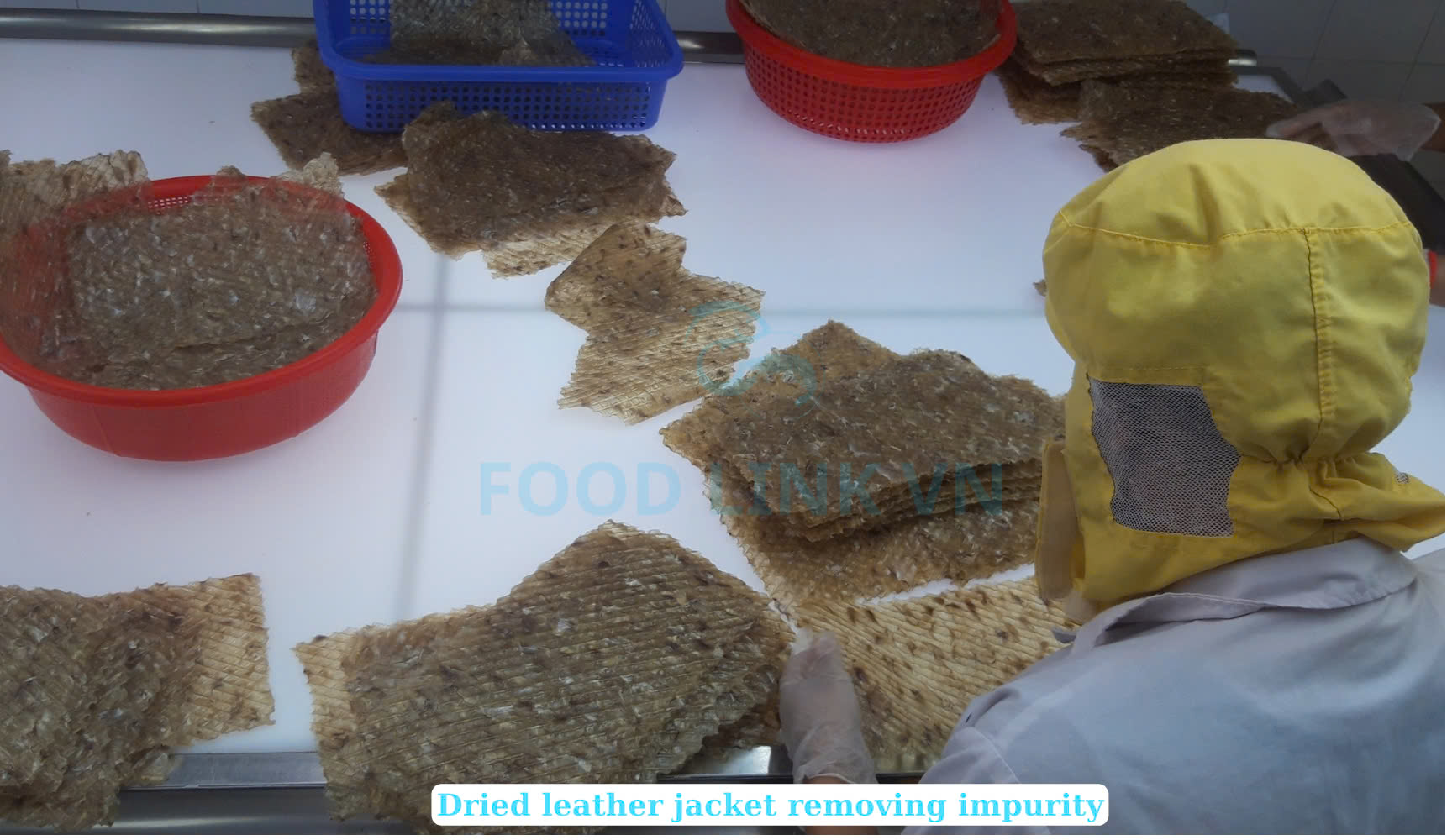 Dried Seasoned Leather Jacket Fish (Dried Seasoned Filefish)