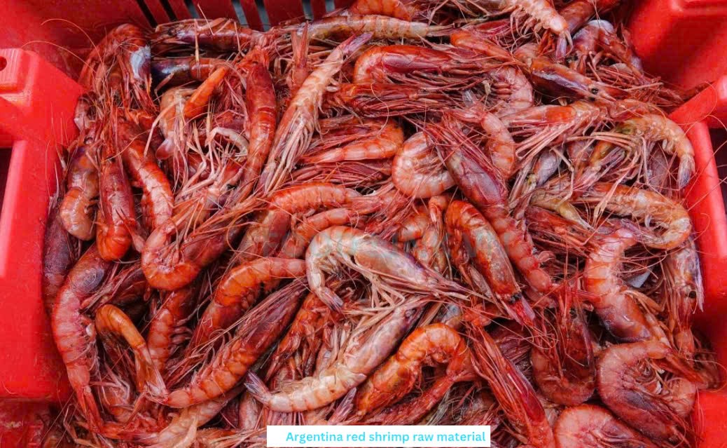 Frozen Argentina Red Shrimp