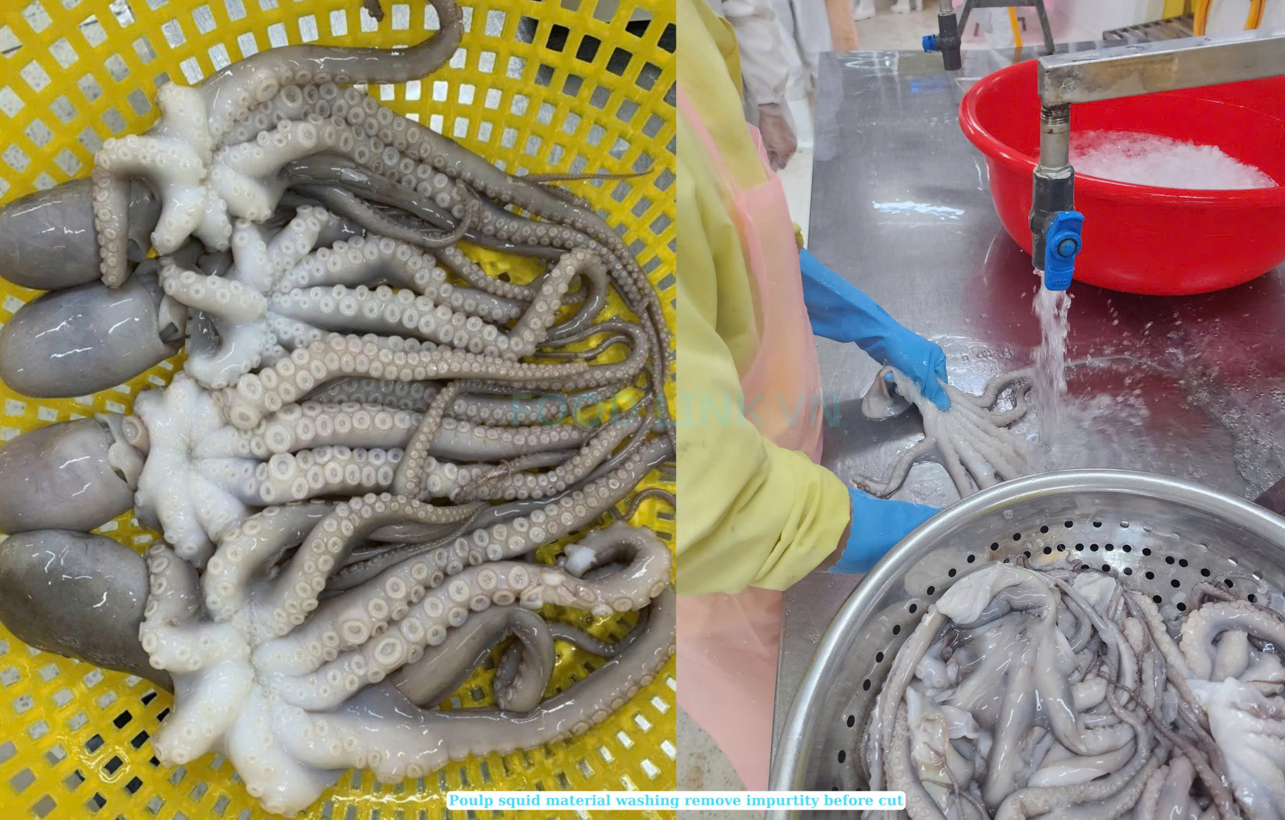 Frozen Blanched And Boiled Poulp Squid Dice Cut (Frozen Boiled Mada Cut)