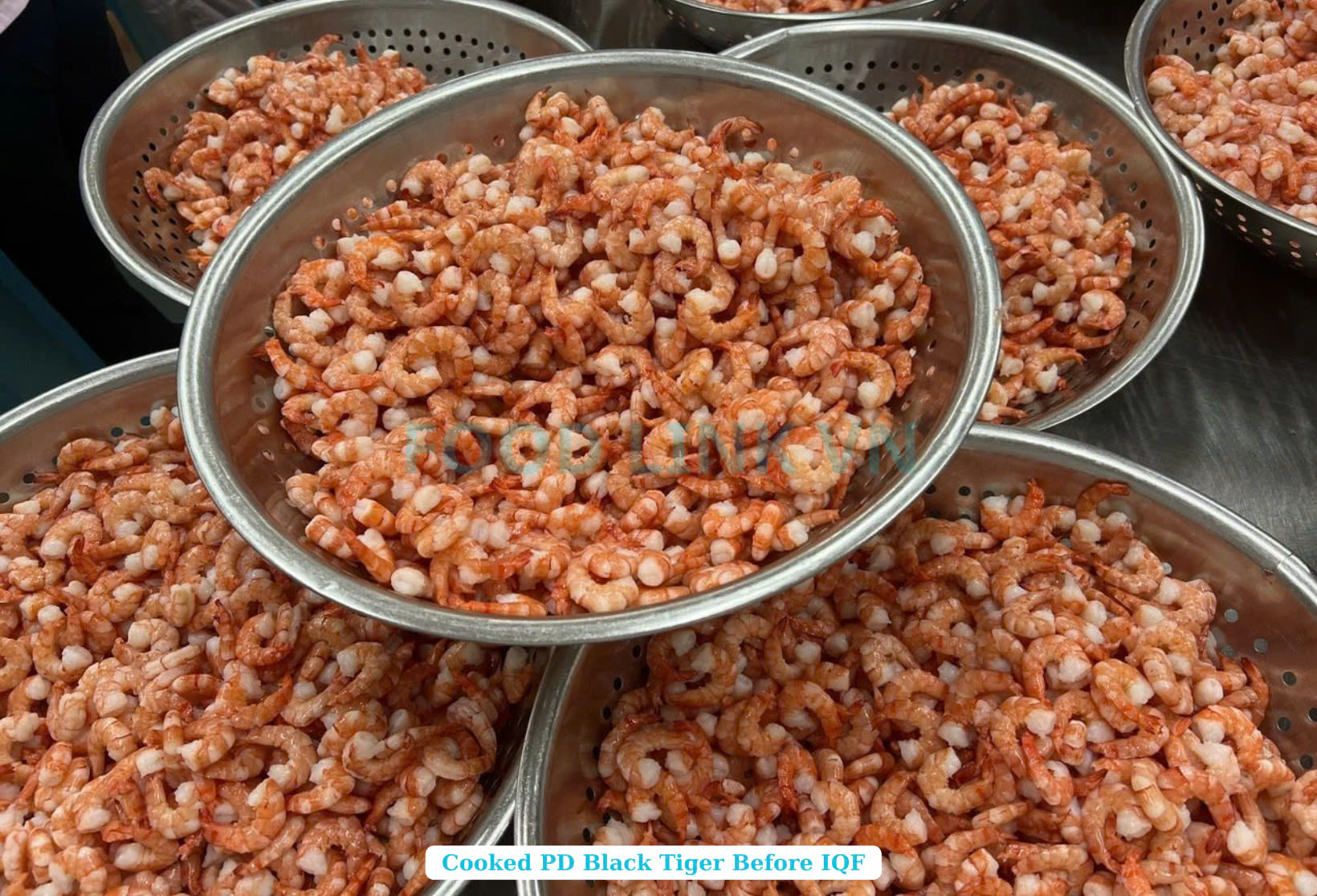 Frozen Cooked Pd Black Tiger Shrimp