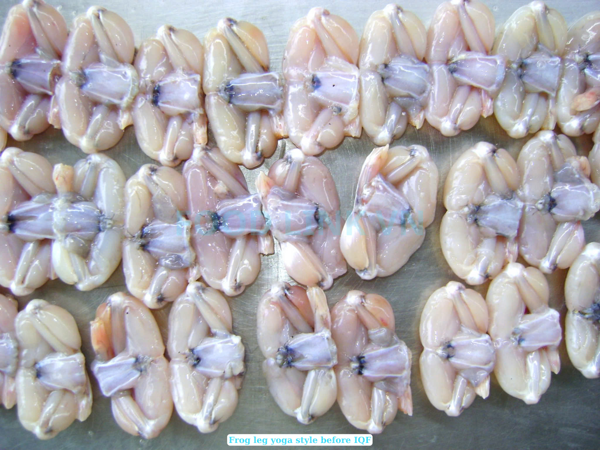 Frozen Frog Legs Yoga Style