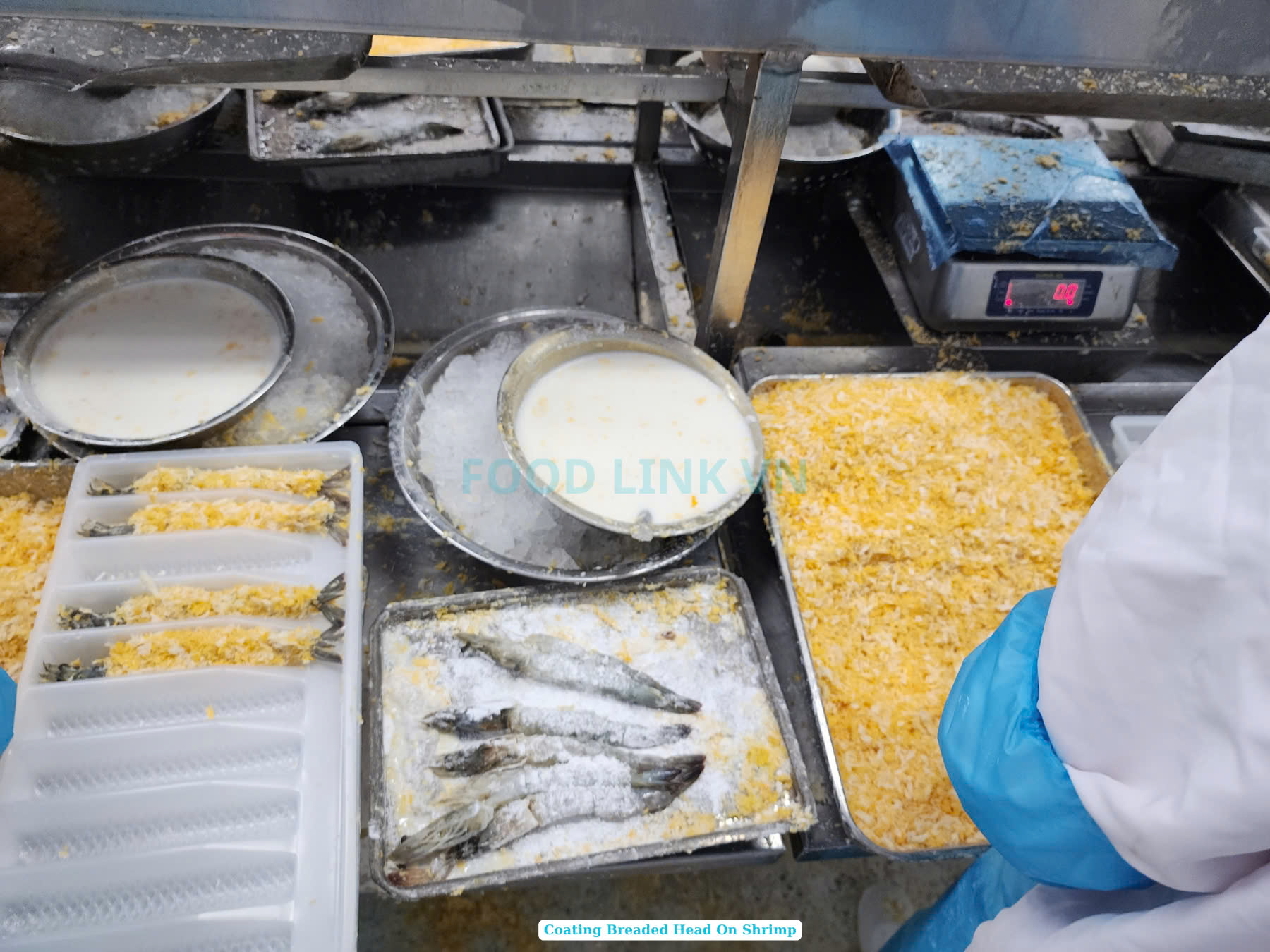 Frozen Breaded Head On Shrimp