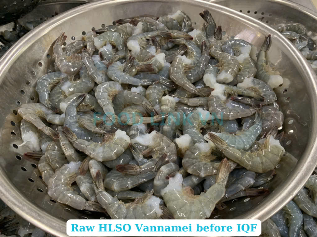 Frozen Raw HLSO Vannamei Shrimp
