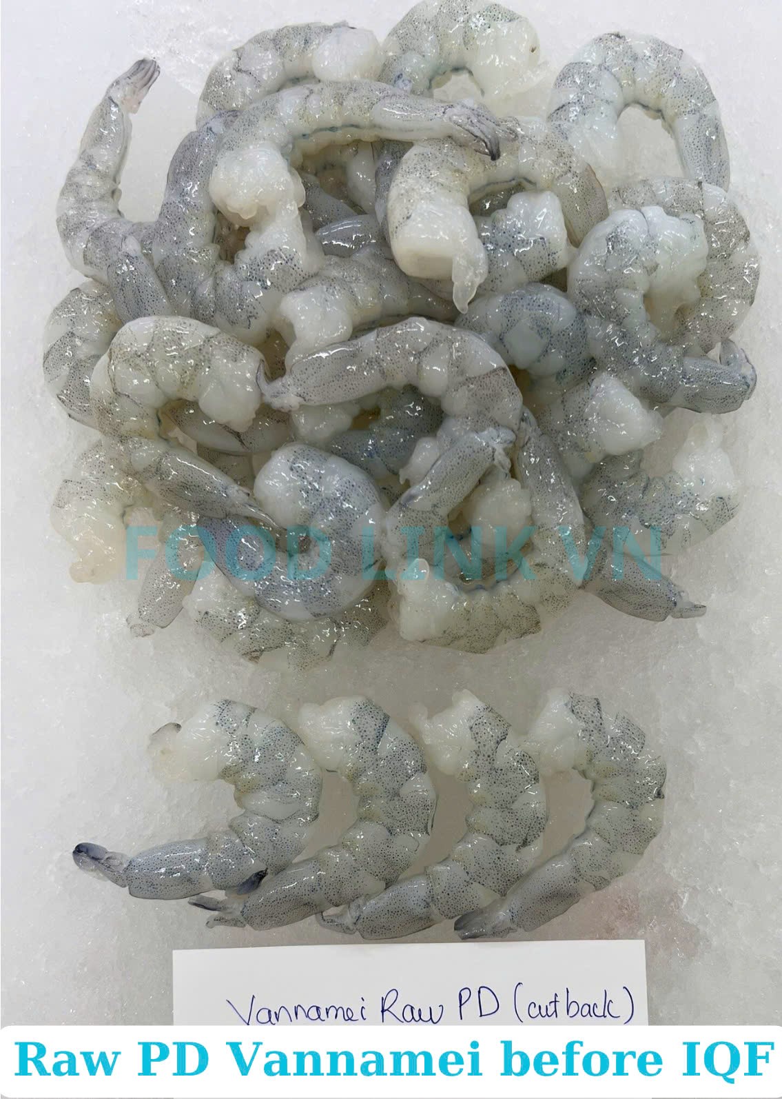 Frozen Raw PD Vannamei Shrimp