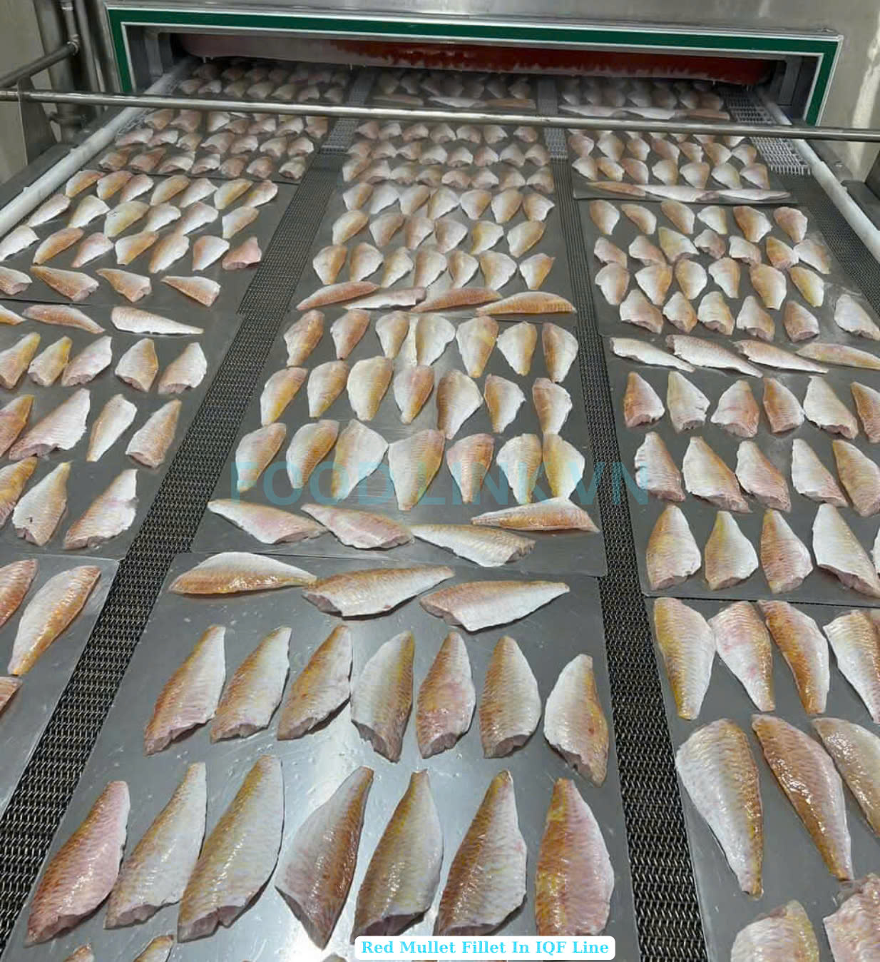 Frozen Red Mullet Fillet