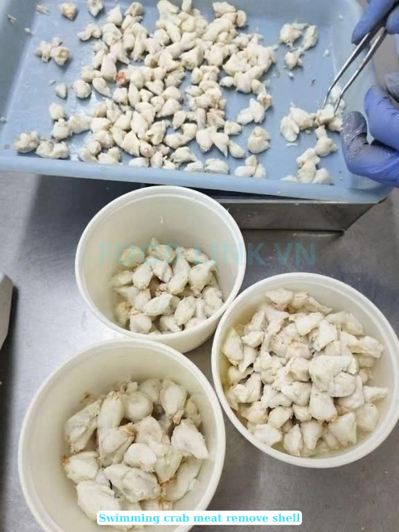 Frozen Swimming Crab Meat