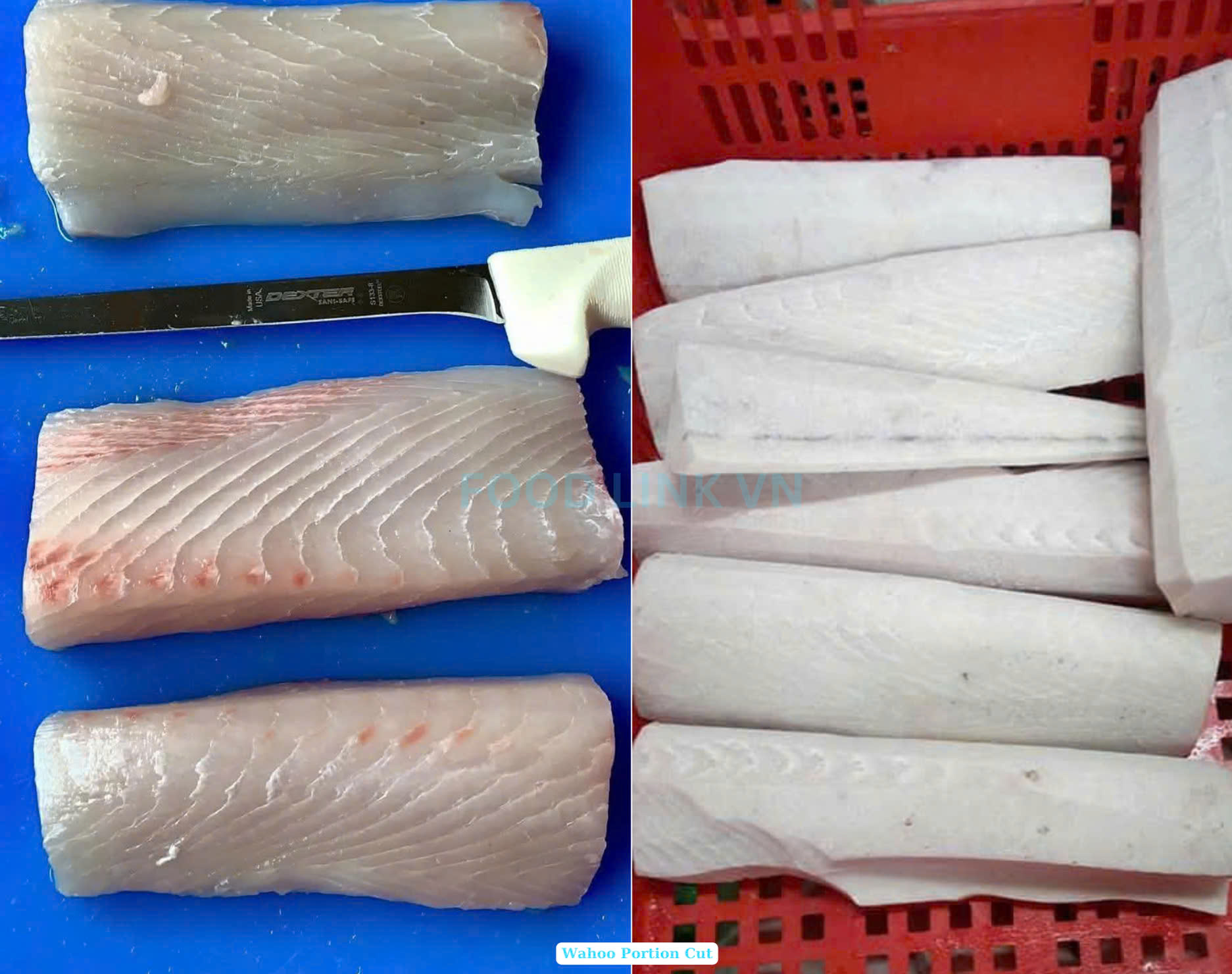 Frozen Wahoo Portion