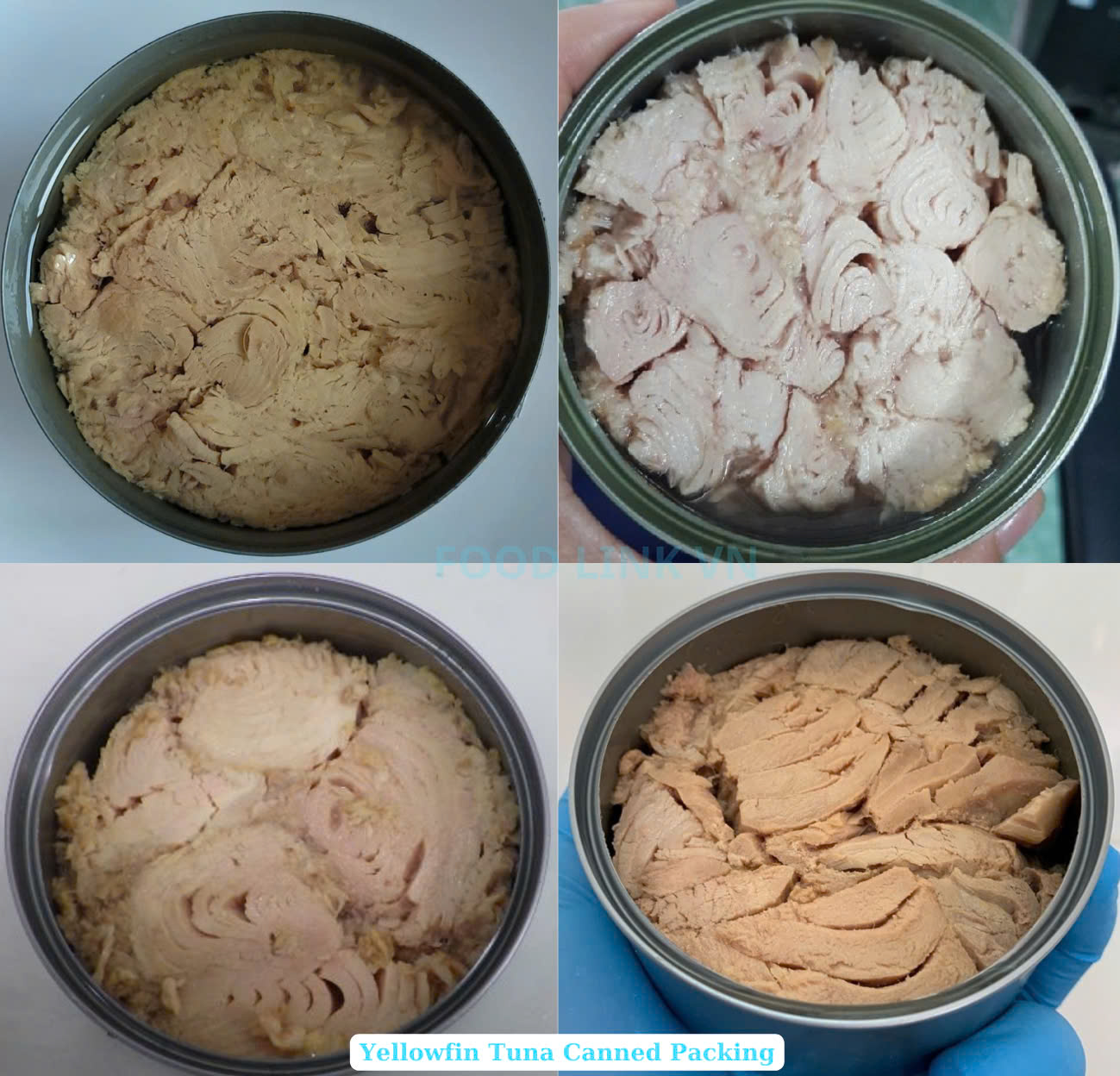 Canned Tuna