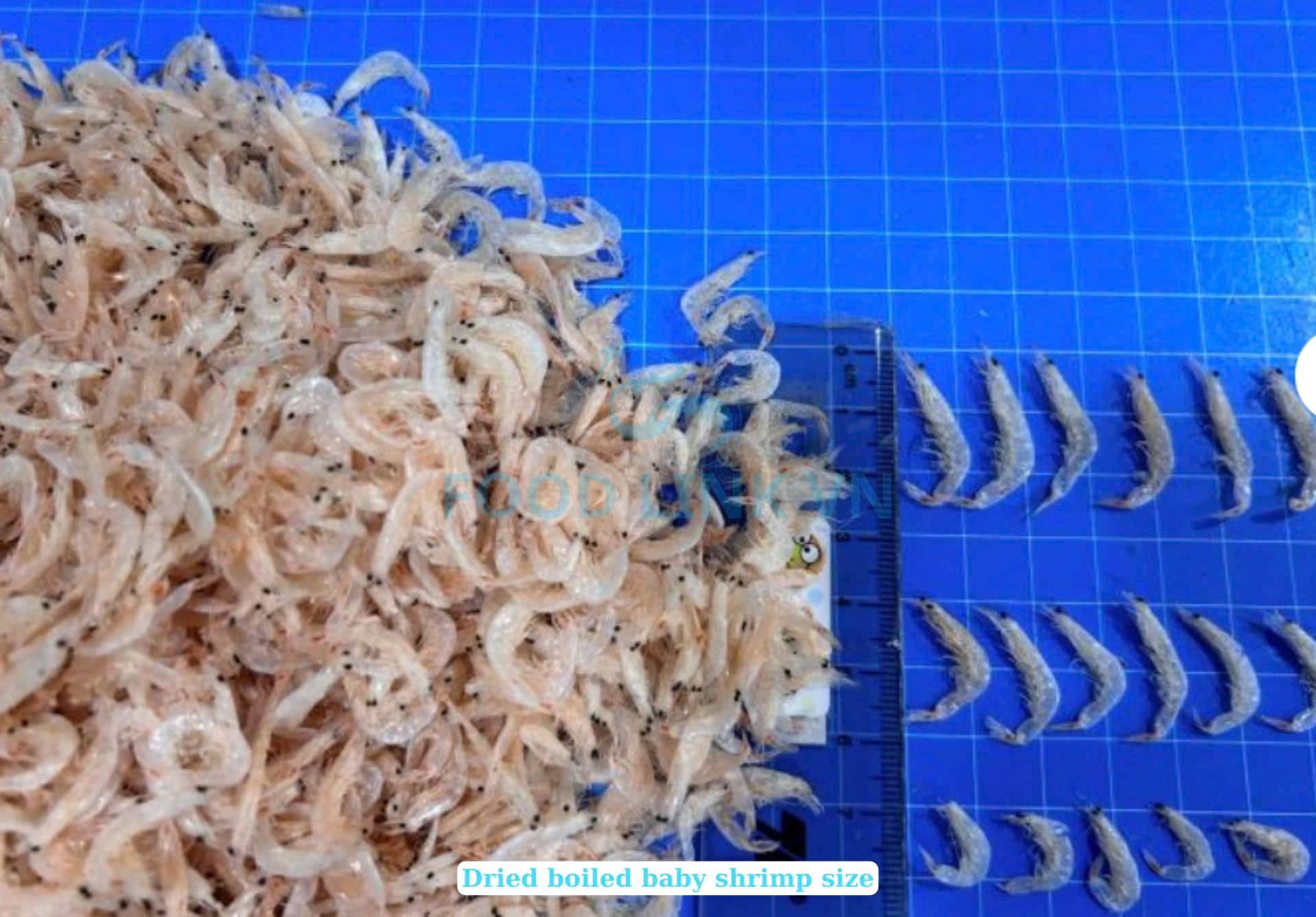 Dried Baby Shrimp