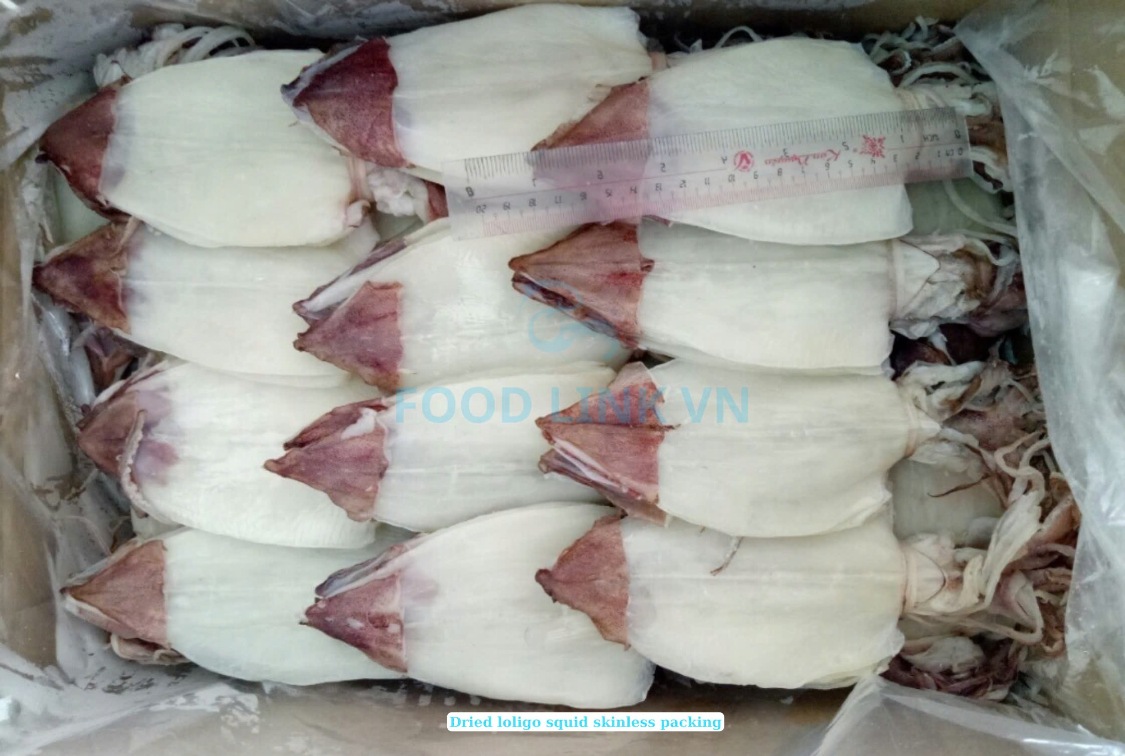 Dried Loligo Squid