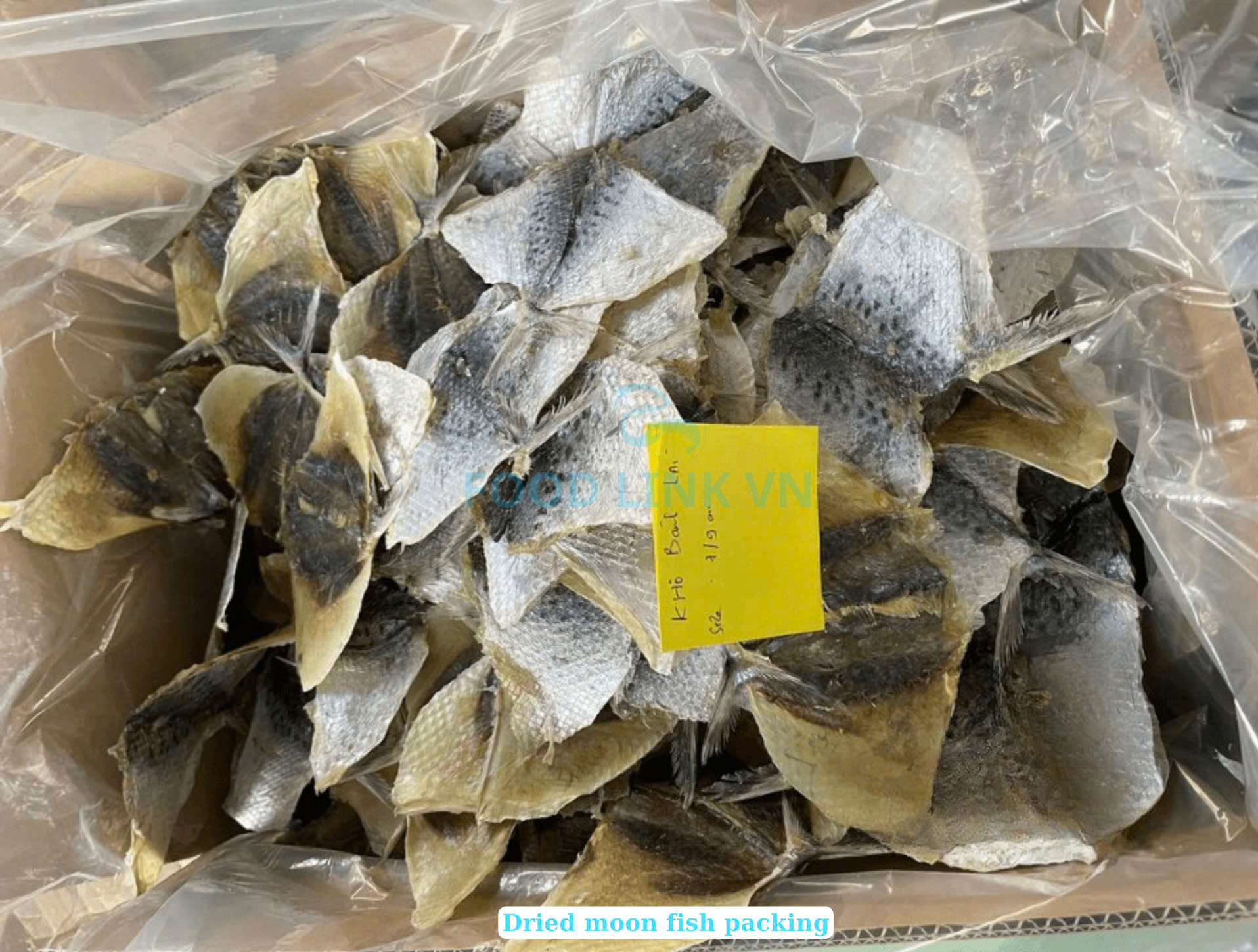 Dried Moon Fish