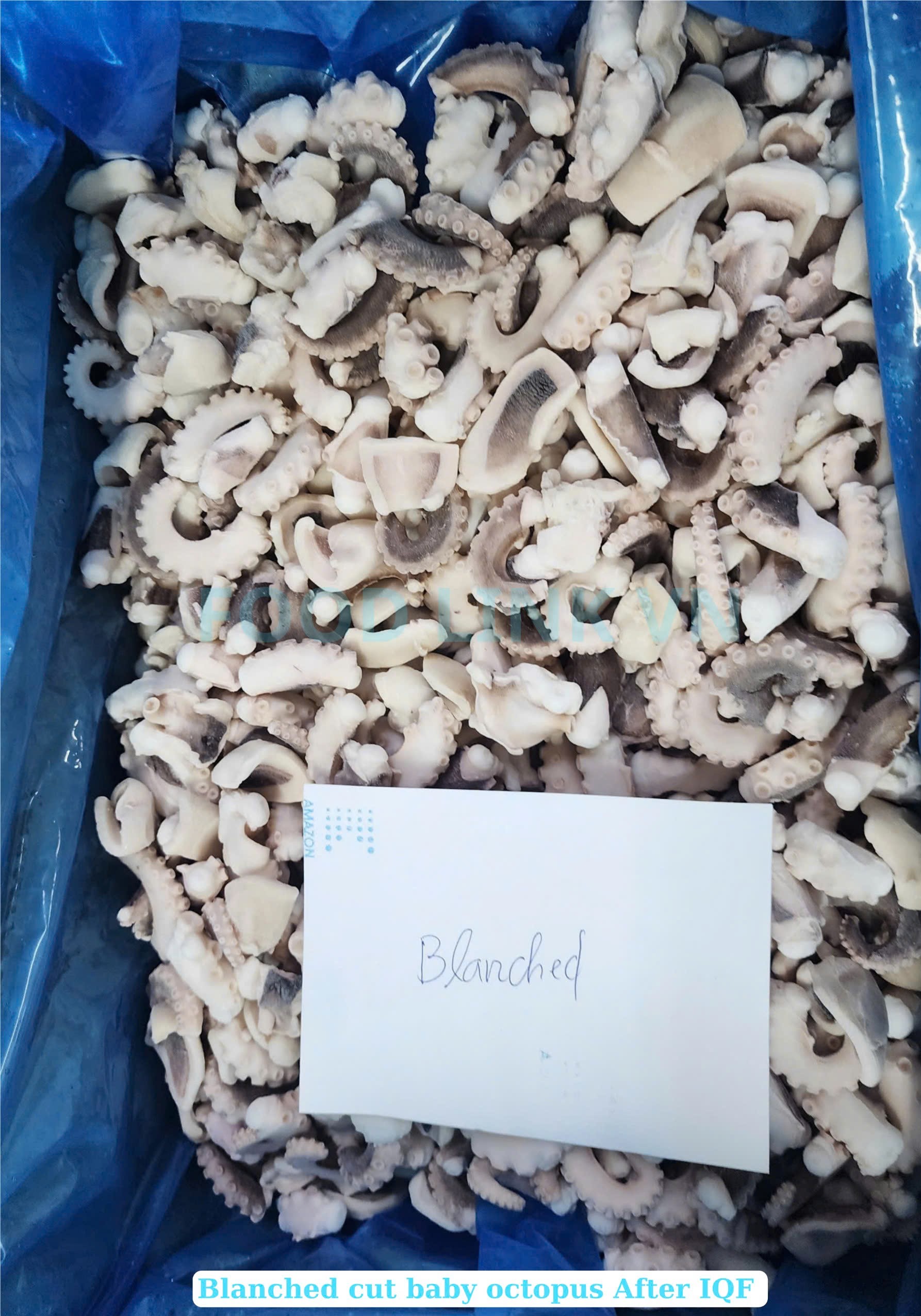 Frozen Boiled Baby Octopus Cut