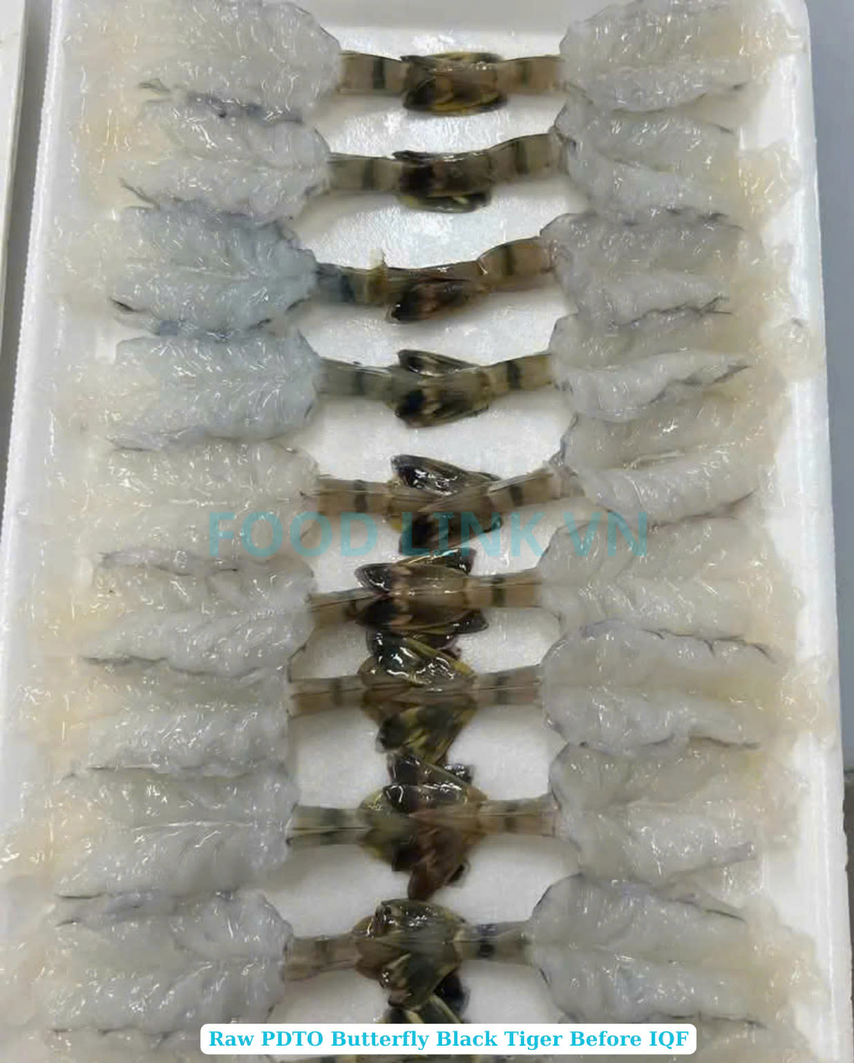 Frozen Raw Pdto butterfly Black Tiger Shrimp